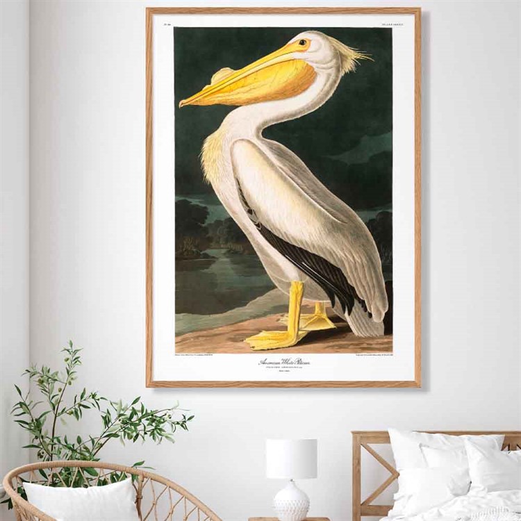 The Dybdahl Co Plakat American White Pelican i stuen