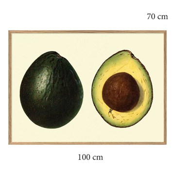The Dybdahl Co Plakat Avocado Egramme 100x70