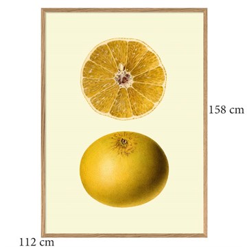 The Dybdahl Co Plakat Grapefruit egeramme 112x158
