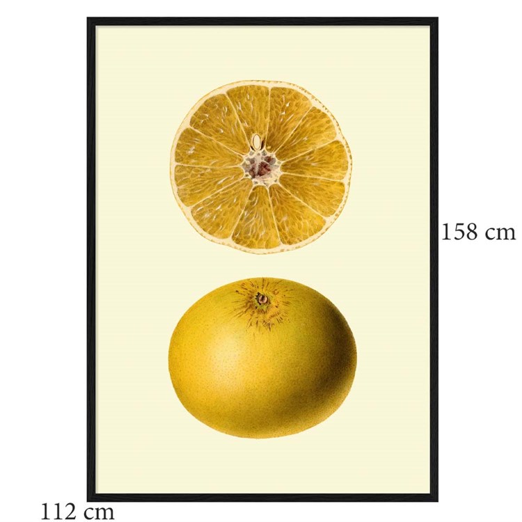 The Dybdahl Co Plakat Grapefruit sortramme 112x158