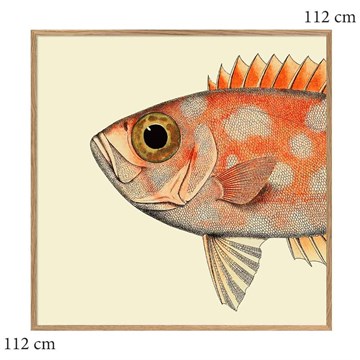 The Dybdahl Co Plakat Dotted Fish Head egramme 112x112
