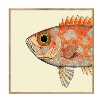 The Dybdahl Co Plakat Dotted Fish Head egramme 