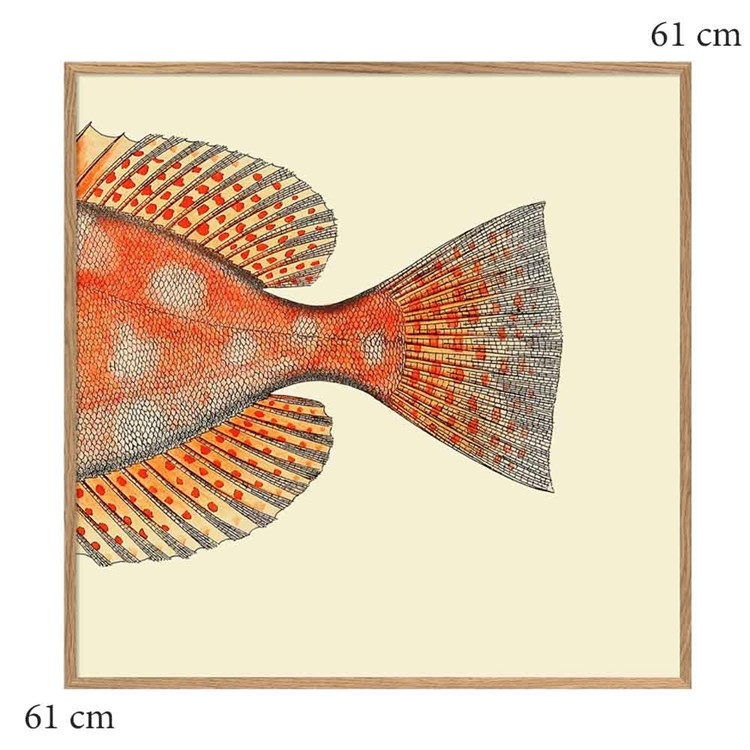The Dybdahl Co Plakat Dotted Fish Tail Halen Egramme 61x61