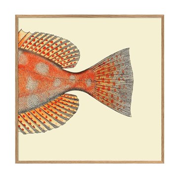The Dybdahl Co Plakat Dotted Fish Tail Halen Egramme 