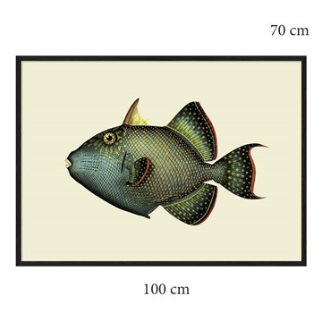 The Dybdahl Co Plakat Trigger Fish sortramme 100x70