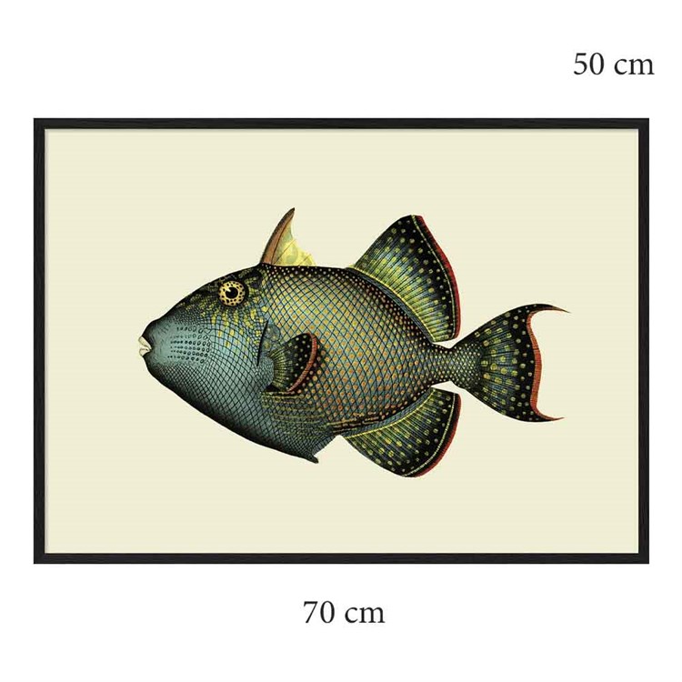 The Dybdahl Co Plakat Trigger Fish sortramme 70x50
