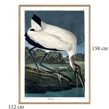 The Dybdahl Co Plakat Wood Ibis egramme 112x158