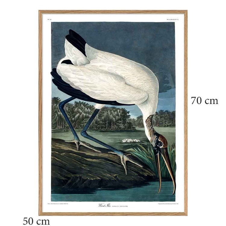 The Dybdahl Co Plakat Wood Ibis egramme 50x70