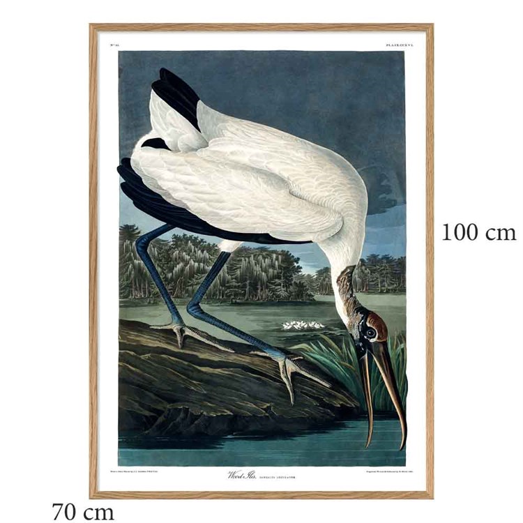 The Dybdahl Co Plakat Wood Ibis egramme 70x100
