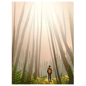 Vissevasse Plakat Into The Woods - 50x70 cm